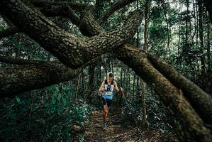 BIB: 
                            <button type="button" onclick="openModal(25664192)" class="btn btn-primary btn-sm float-right btn-popup" data-toggle="modal" data-target=".modal-high-quality">
                        <i class="fas fa-shopping-cart"></i> Add to Cart
                    </button>
                                            <button type="button" onclick="isThisMe(25664192, true)" class="btn btn-success btn-sm float-right btn-popup btn-isme hidden" data-toggle="tooltip" data-placement="bottom" title="นี่คือรูปของคุณใช่ไหม คลิกที่นี่เพื่อเอาเข้าอัลบั้ม">
                        <i class="fas fa-plus"></i> Add to album
                    </button>
                    <button type="button" onclick="isThisMe(25664192, false)" class="btn btn-warning btn-sm float-right btn-popup btn-isnotme hidden">
                        <i class="fas fa-ban"></i> Remove from album
                    </button>